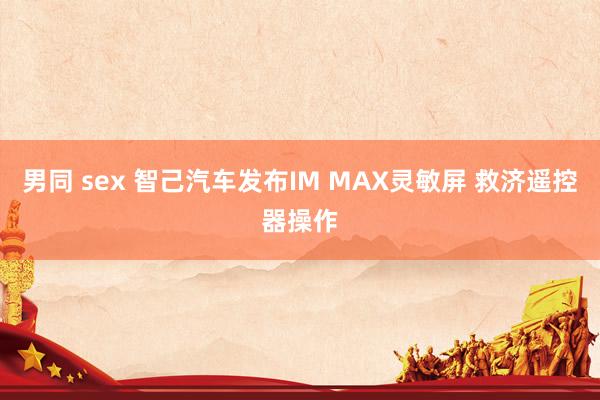 男同 sex 智己汽车发布IM MAX灵敏屏 救济遥控器操作