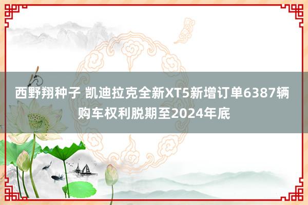 西野翔种子 凯迪拉克全新XT5新增订单6387辆 购车权利脱期至2024年底