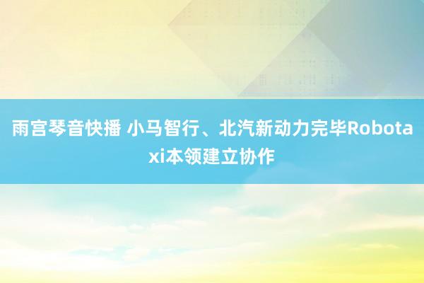 雨宫琴音快播 小马智行、北汽新动力完毕Robotaxi本领建立协作