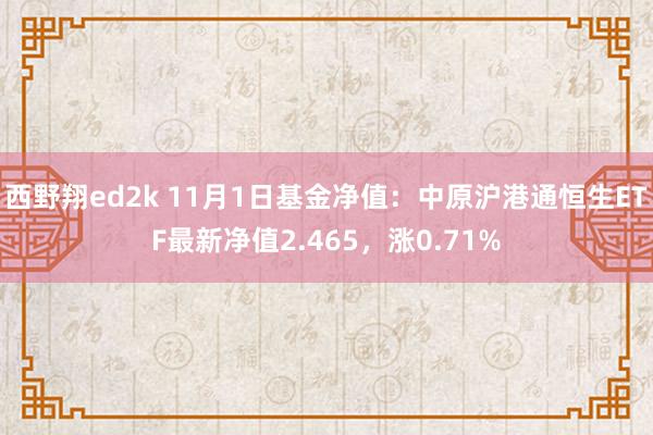 西野翔ed2k 11月1日基金净值：中原沪港通恒生ETF最新净值2.465，涨0.71%