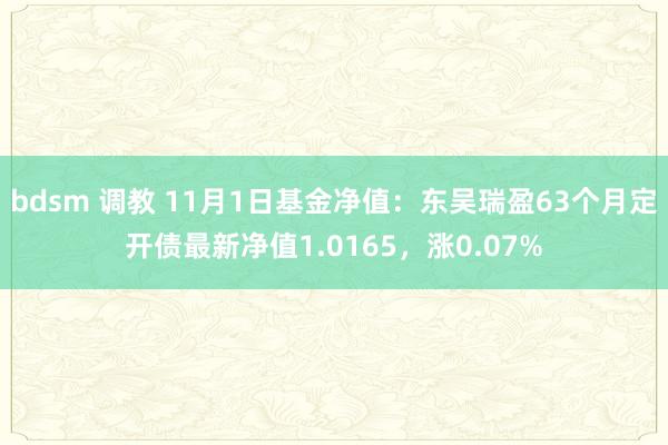 bdsm 调教 11月1日基金净值：东吴瑞盈63个月定开债最新净值1.0165，涨0.07%