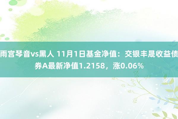 雨宫琴音vs黑人 11月1日基金净值：交银丰晟收益债券A最新净值1.2158，涨0.06%