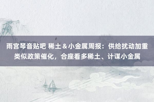 雨宫琴音贴吧 稀土＆小金属周报：供给扰动加重类似政策催化，合座看多稀土、计谋小金属