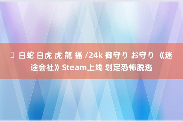 ✨白蛇 白虎 虎 龍 福 /24k 御守り お守り 《迷途会社》Steam上线 划定恐怖脱逃