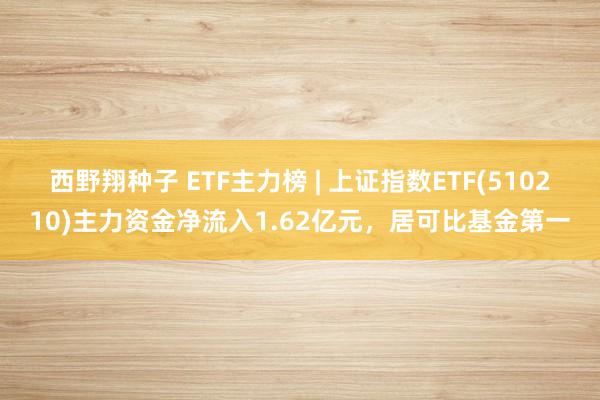 西野翔种子 ETF主力榜 | 上证指数ETF(510210)主力资金净流入1.62亿元，居可比基金第一