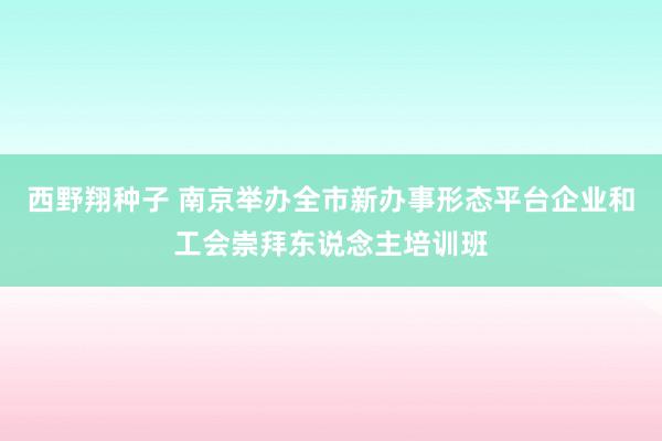 西野翔种子 南京举办全市新办事形态平台企业和工会崇拜东说念主培训班