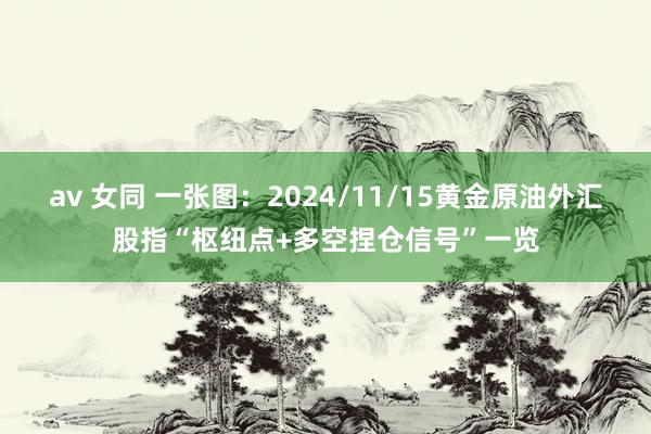 av 女同 一张图：2024/11/15黄金原油外汇股指“枢纽点+多空捏仓信号”一览