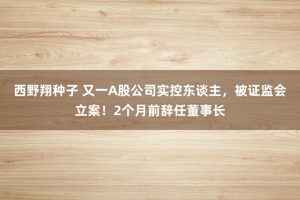 西野翔种子 又一A股公司实控东谈主，被证监会立案！2个月前辞任董事长