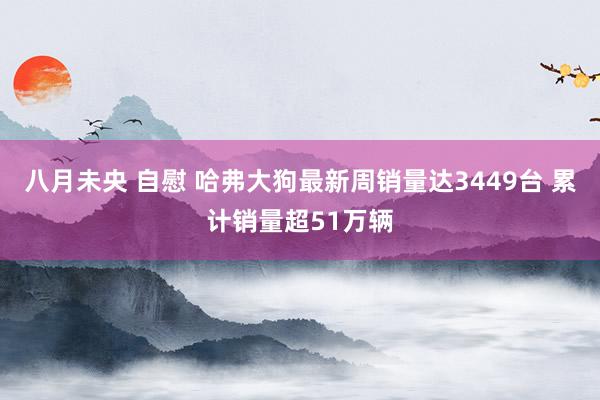 八月未央 自慰 哈弗大狗最新周销量达3449台 累计销量超51万辆