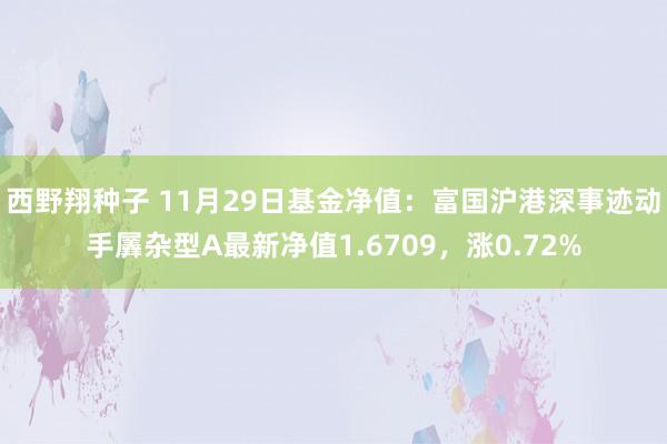 西野翔种子 11月29日基金净值：富国沪港深事迹动手羼杂型A最新净值1.6709，涨0.72%