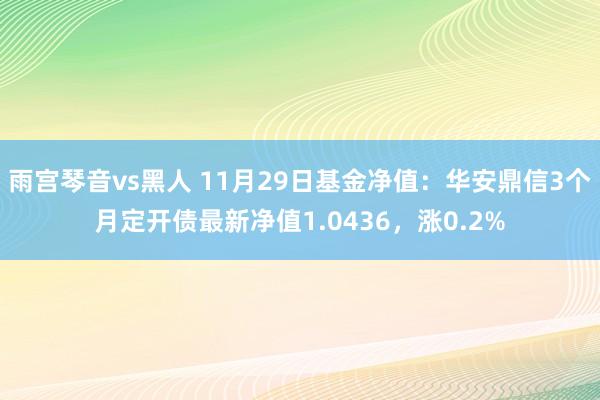 雨宫琴音vs黑人 11月29日基金净值：华安鼎信3个月定开债最新净值1.0436，涨0.2%