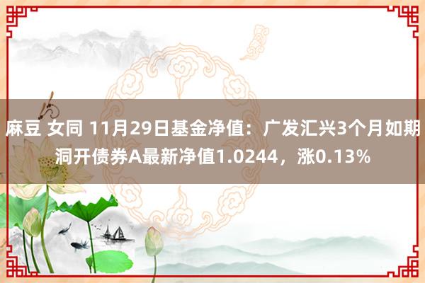 麻豆 女同 11月29日基金净值：广发汇兴3个月如期洞开债券A最新净值1.0244，涨0.13%