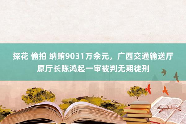 探花 偷拍 纳贿9031万余元，广西交通输送厅原厅长陈鸿起一审被判无期徒刑