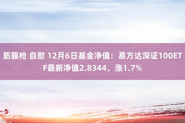 筋膜枪 自慰 12月6日基金净值：易方达深证100ETF最新净值2.8344，涨1.7%