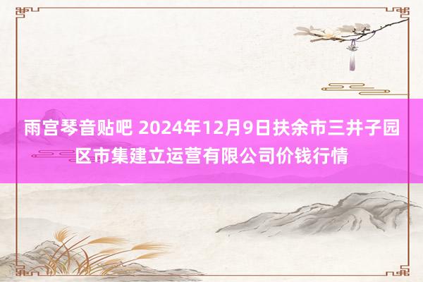 雨宫琴音贴吧 2024年12月9日扶余市三井子园区市集建立运营有限公司价钱行情