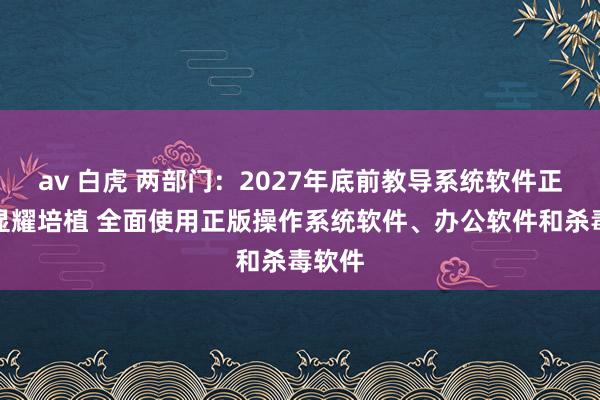 av 白虎 两部门：2027年底前教导系统软件正版率显耀培植 全面使用正版操作系统软件、办公软件和杀毒软件