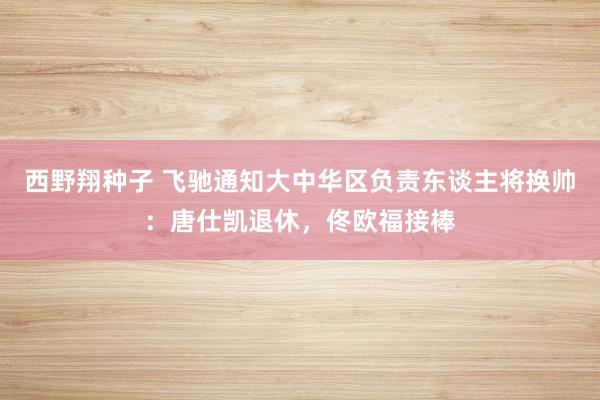 西野翔种子 飞驰通知大中华区负责东谈主将换帅：唐仕凯退休，佟欧福接棒