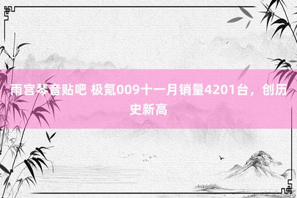 雨宫琴音贴吧 极氪009十一月销量4201台，创历史新高