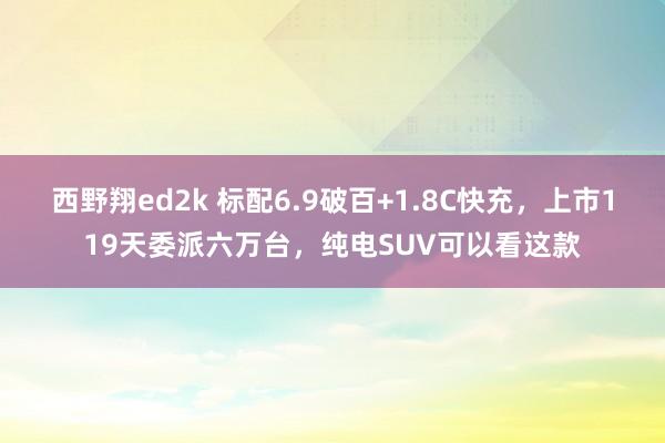 西野翔ed2k 标配6.9破百+1.8C快充，上市119天委派六万台，纯电SUV可以看这款