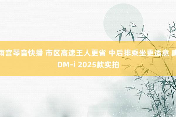 雨宫琴音快播 市区高速王人更省 中后排乘坐更适意 唐DM-i 2025款实拍