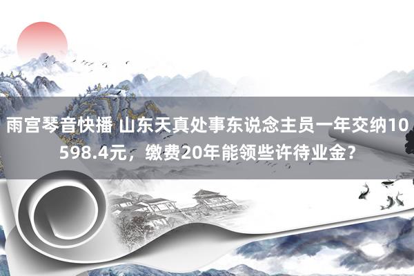 雨宫琴音快播 山东天真处事东说念主员一年交纳10598.4元，缴费20年能领些许待业金？