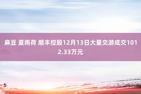 麻豆 夏雨荷 顺丰控股12月13日大量交游成交1012.33万元