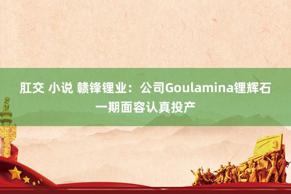 肛交 小说 赣锋锂业：公司Goulamina锂辉石一期面容认真投产