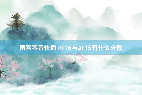 雨宫琴音快播 m16与ar15有什么分散