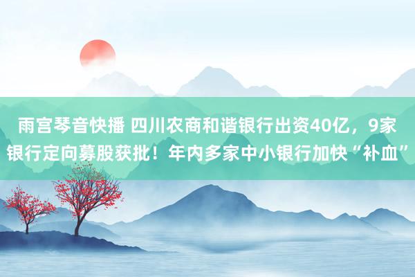 雨宫琴音快播 四川农商和谐银行出资40亿，9家银行定向募股获批！年内多家中小银行加快“补血”