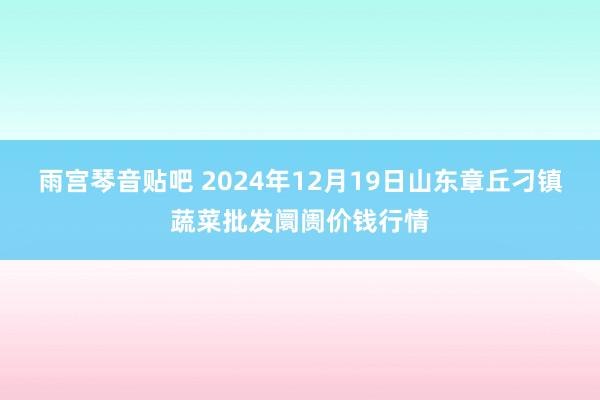 雨宫琴音贴吧 2024年12月19日山东章丘刁镇蔬菜批发阛阓价钱行情