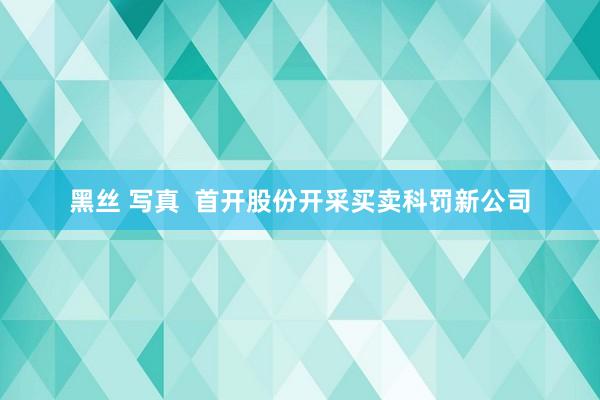 黑丝 写真  首开股份开采买卖科罚新公司