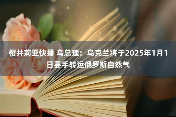 樱井莉亚快播 乌总理：乌克兰将于2025年1月1日罢手转运俄罗斯自然气