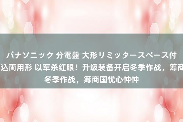 パナソニック 分電盤 大形リミッタースペース付 露出・半埋込両用形 以军杀红眼！升级装备开启冬季作战，筹商国忧心忡忡