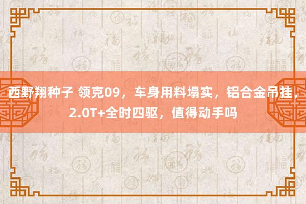 西野翔种子 领克09，车身用料塌实，铝合金吊挂，2.0T+全时四驱，值得动手吗