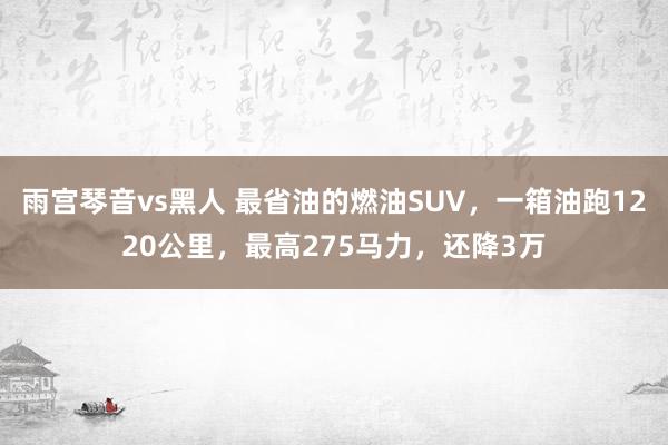 雨宫琴音vs黑人 最省油的燃油SUV，一箱油跑1220公里，最高275马力，还降3万