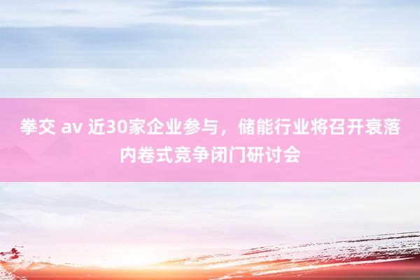 拳交 av 近30家企业参与，储能行业将召开衰落内卷式竞争闭门研讨会