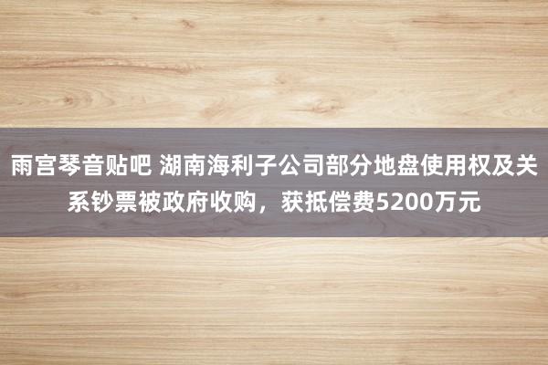 雨宫琴音贴吧 湖南海利子公司部分地盘使用权及关系钞票被政府收购，获抵偿费5200万元