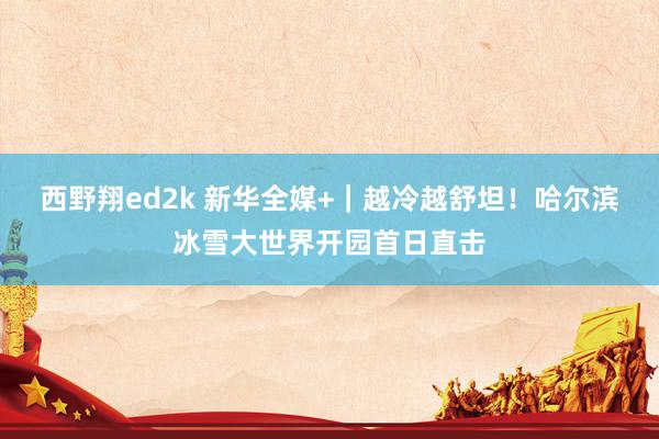 西野翔ed2k 新华全媒+｜越冷越舒坦！哈尔滨冰雪大世界开园首日直击