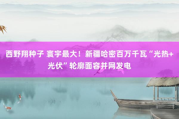 西野翔种子 寰宇最大！新疆哈密百万千瓦“光热+光伏”轮廓面容并网发电