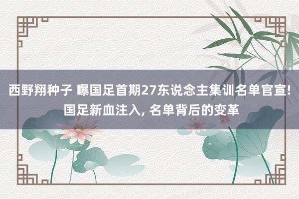 西野翔种子 曝国足首期27东说念主集训名单官宣! 国足新血注入， 名单背后的变革