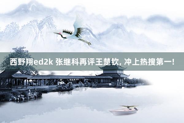 西野翔ed2k 张继科再评王楚钦， 冲上热搜第一!