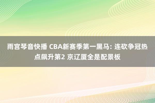 雨宫琴音快播 CBA新赛季第一黑马: 连砍争冠热点飙升第2 京辽厦全是配景板