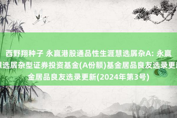 西野翔种子 永赢港股通品性生涯慧选羼杂A: 永赢港股通品性生涯慧选羼杂型证券投资基金(A份额)基金居品良友选录更新(2024年第3号)