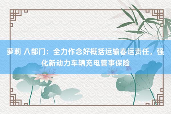 萝莉 八部门：全力作念好概括运输春运责任，强化新动力车辆充电管事保险