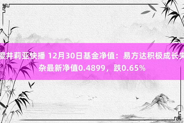 樱井莉亚快播 12月30日基金净值：易方达积极成长夹杂最新净值0.4899，跌0.65%