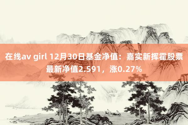 在线av girl 12月30日基金净值：嘉实新挥霍股票最新净值2.591，涨0.27%