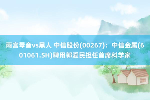 雨宫琴音vs黑人 中信股份(00267)：中信金属(601061.SH)聘用郭爱民担任首席科学家