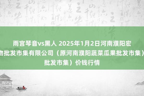 雨宫琴音vs黑人 2025年1月2日河南濮阳宏进农副产物批发市集有限公司（原河南濮阳蔬菜瓜果批发市集）价钱行情