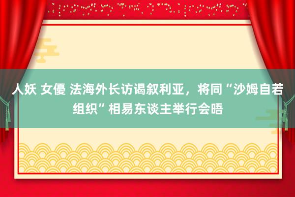 人妖 女優 法海外长访谒叙利亚，将同“沙姆自若组织”相易东谈主举行会晤