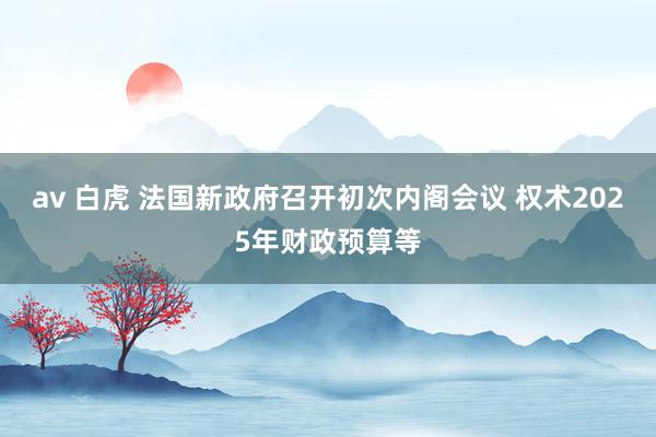 av 白虎 法国新政府召开初次内阁会议 权术2025年财政预算等